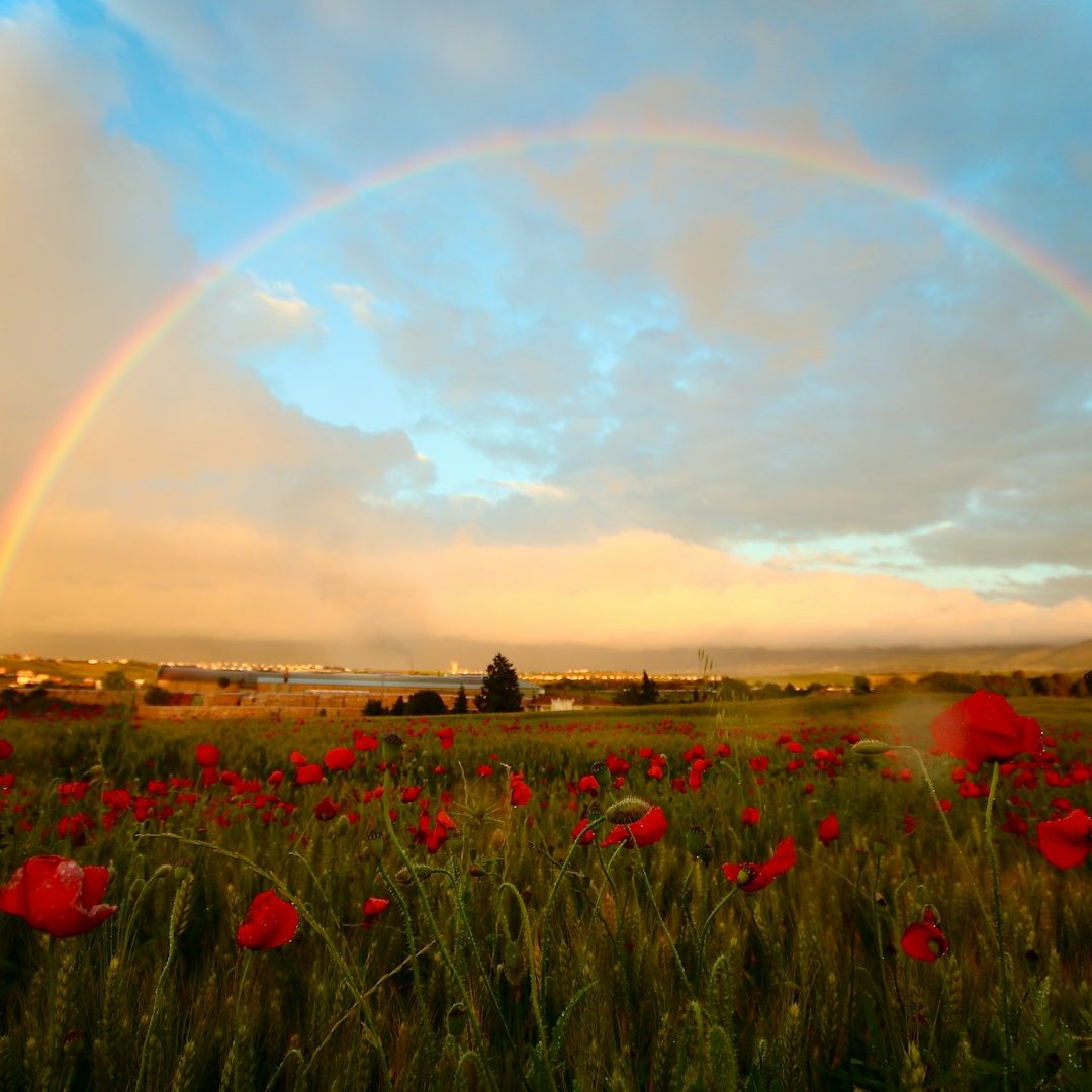 Abschied – Trauerfeier